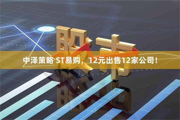 中泽策略 ST易购，12元出售12家公司！